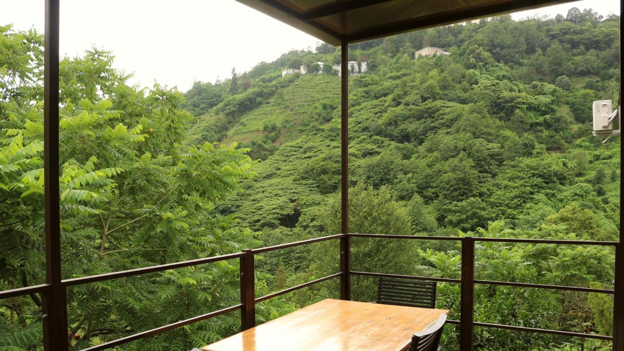 Modular House Green Zyland Y 바투미 외부 사진